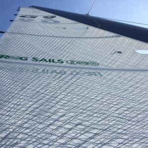 voile membrane frogsails